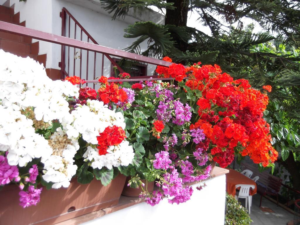 Casavacanzeinsicilia Etna Taormina Villa Piedimonte Etneo Bilik gambar