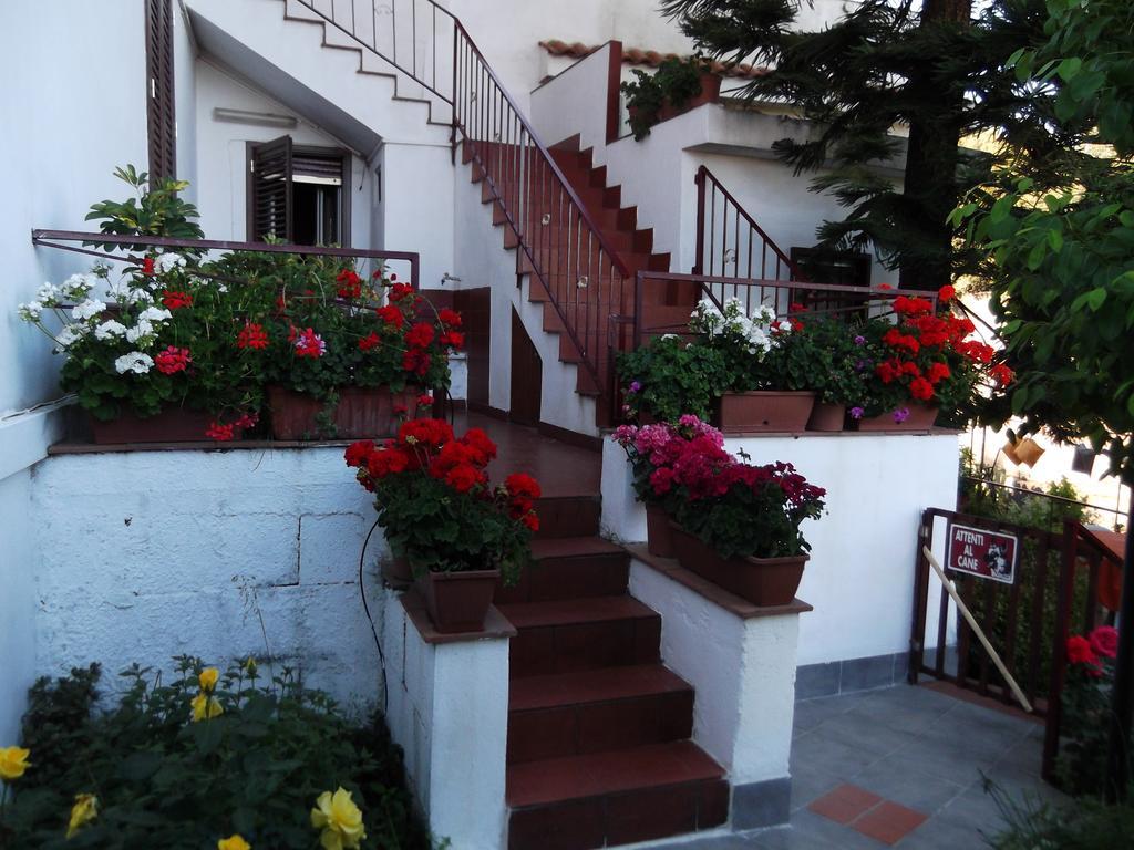 Casavacanzeinsicilia Etna Taormina Villa Piedimonte Etneo Luaran gambar
